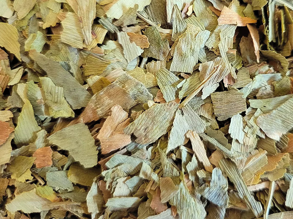 Ginkgo